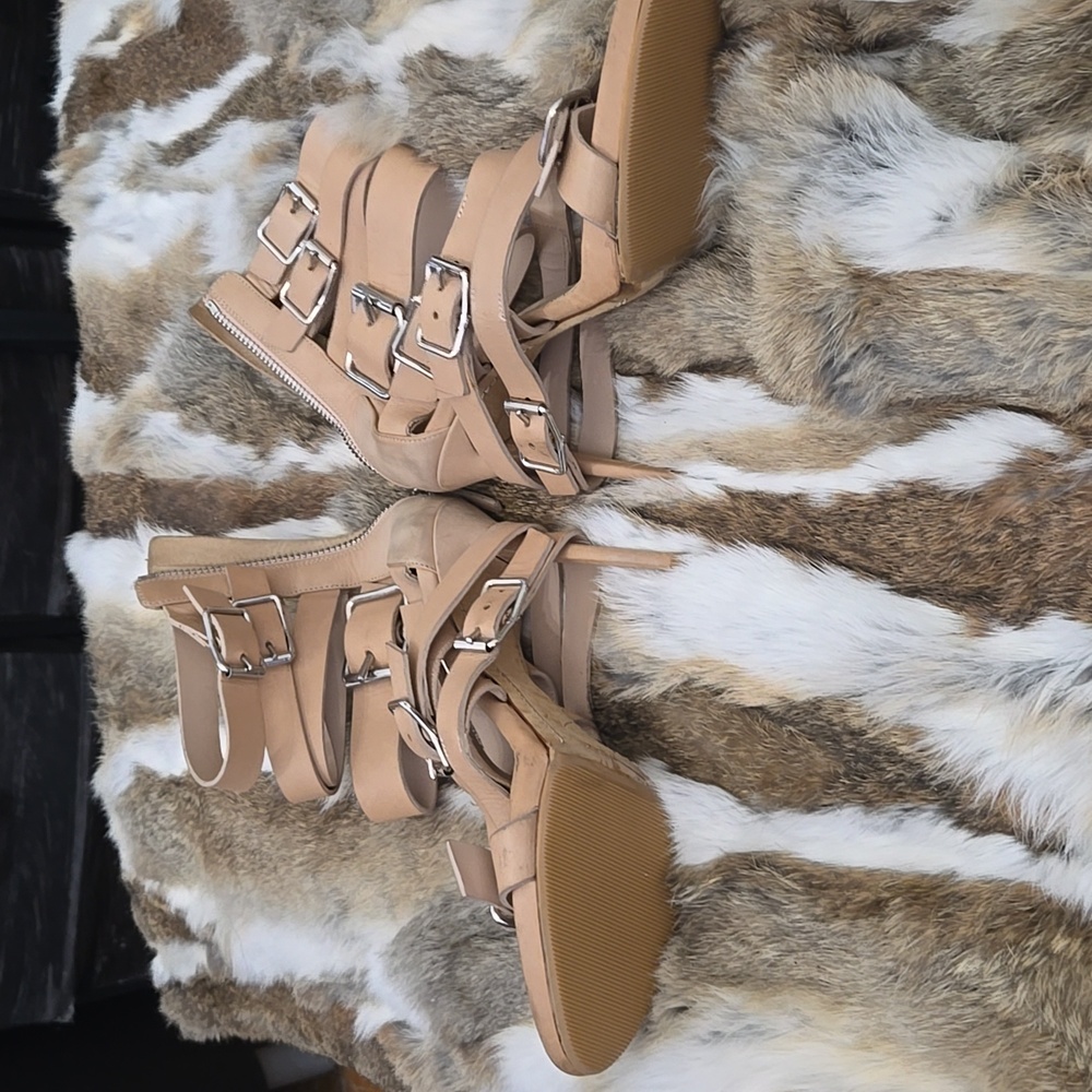 Giuseppe zanotti
